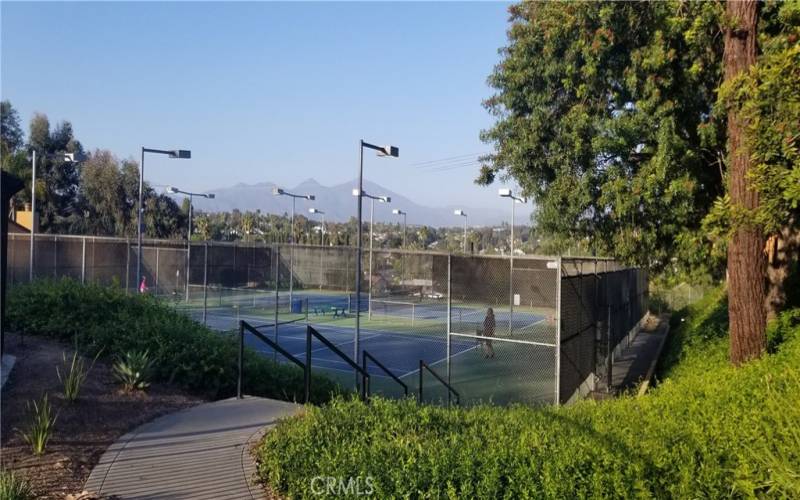 Tennis courts located behind the pool area.