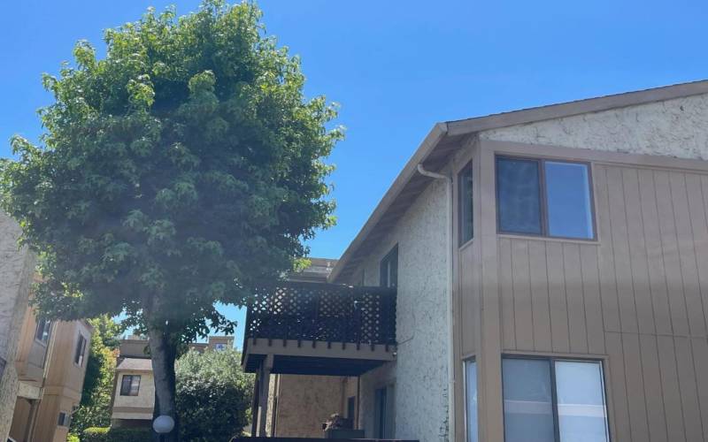 Your own Private deck near the Kitchen via Sliding door.