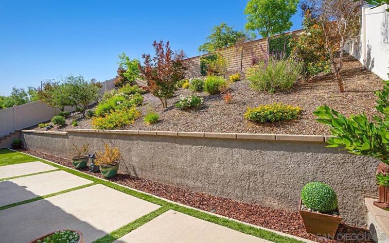 Easy maintenance, drought tolerant backyard landscaping