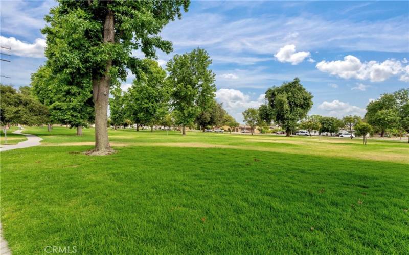 adjacent park for frisbee golf