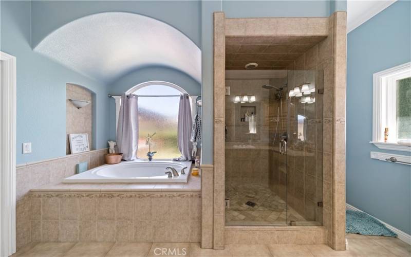 Primary Bathroom Tub and Shower
