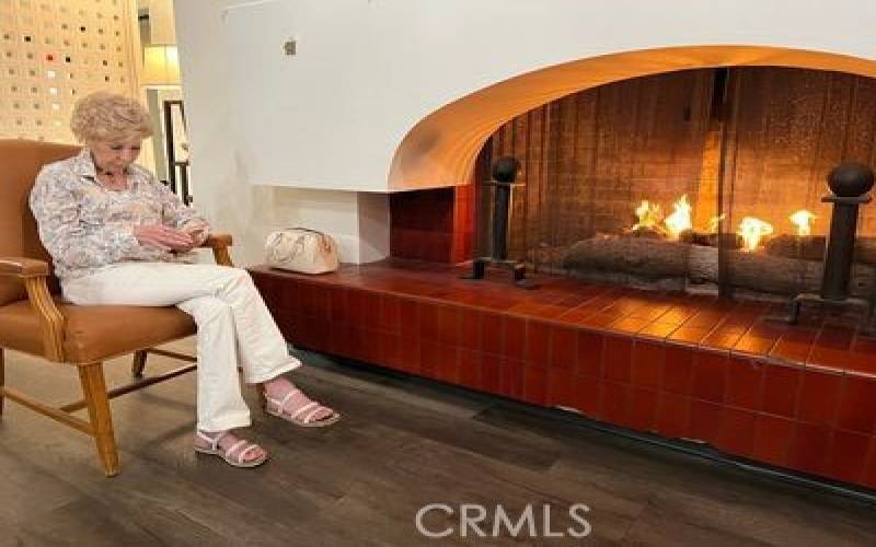 3 RELAXING FIREPLACES...