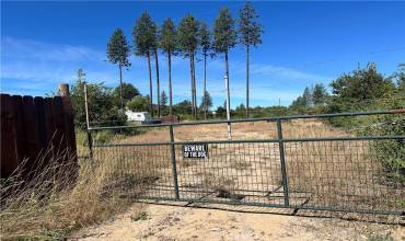 3520 Hoffman Road, Oroville, California 95965, ,Land,Buy,3520 Hoffman Road,PA24126240