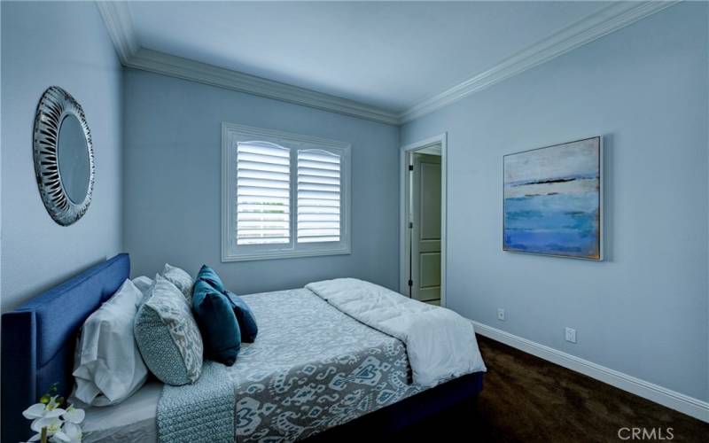 Downstairs ensuite bedroom with carpeted flooring and shutters on the window.