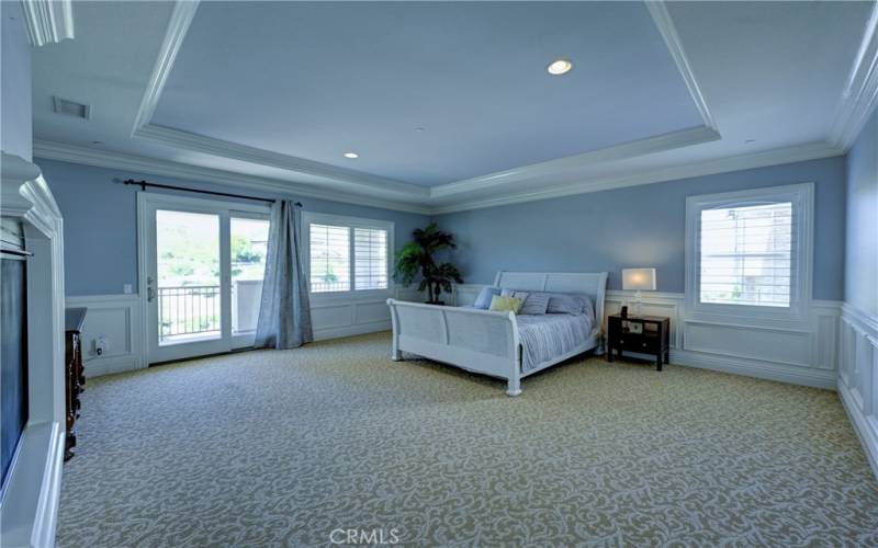 Expansive primary bedroom with coffered ceiling and slider to the private balcony.