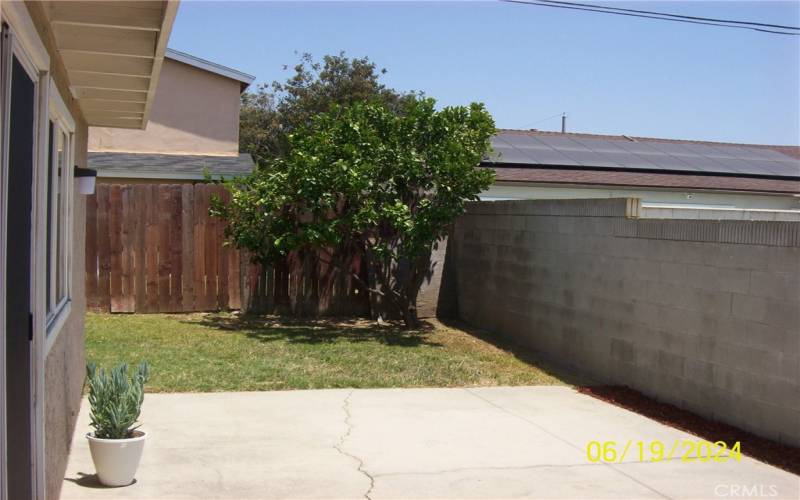 View Of Open Patio Deck And Citrus Fruit Tree