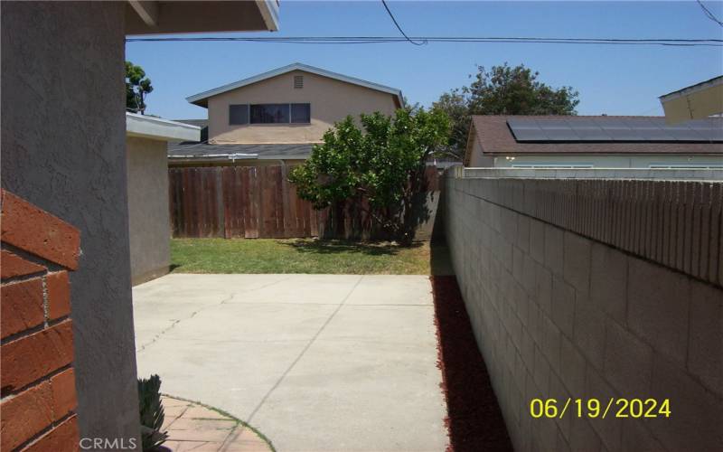 View Of Open Patio Deck And Citrus Fruit Tree