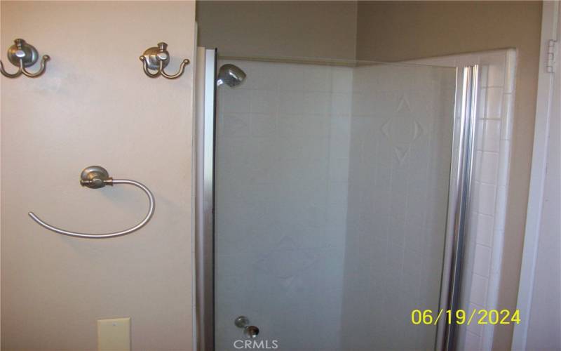 View Of Glass Shower In Primary Bedroom Suite