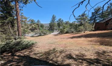 0 W Aeroplane Boulevard, Big Bear City, California 92314, ,Land,Buy,0 W Aeroplane Boulevard,EV24126315