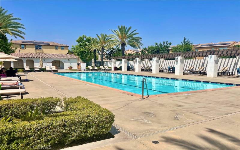 Association Pool and lounge chairs