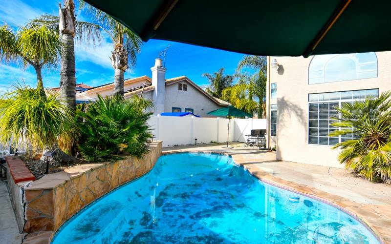 Pool with Palm trees