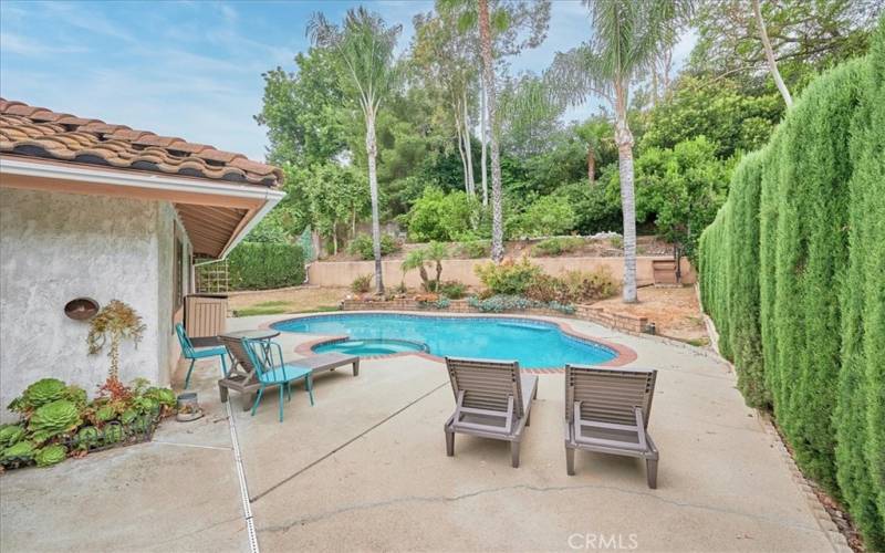 Pool and very private backyard with mature vegetation.