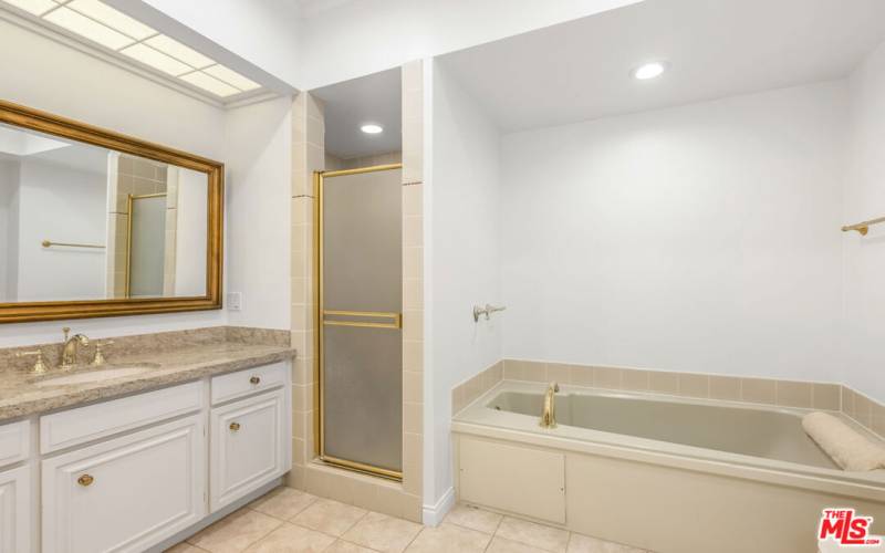 PRIMARY BATHTUB AND SHOWER