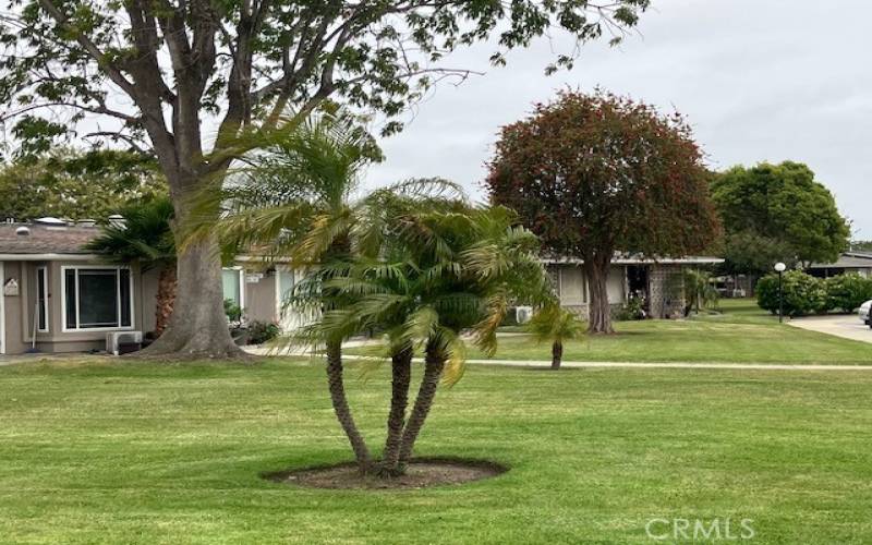 Mature trees surround this lovely home.