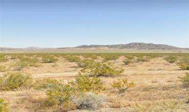 800 Firethorn Way, Johnson Valley, California 92285, ,Land,Buy,800 Firethorn Way,HD24127475