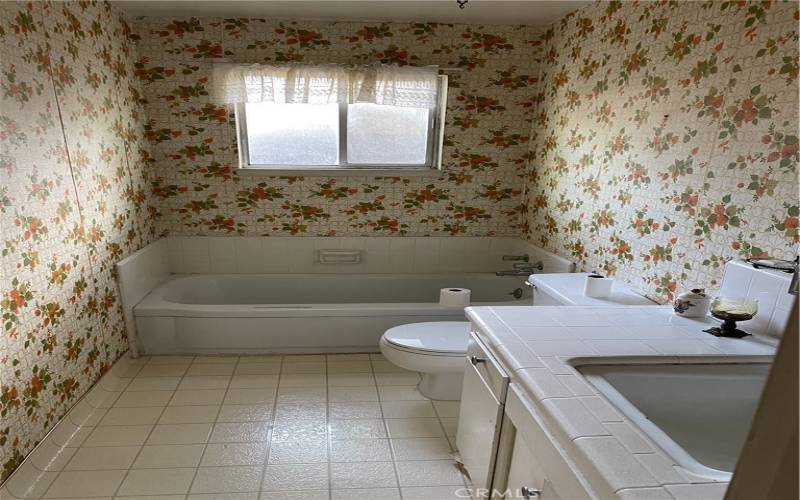 Main bathroom, Tub only