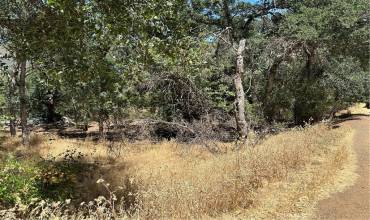 13020 Ridge Street, Clearlake, California 95422, ,Land,Buy,13020 Ridge Street,LC24118425