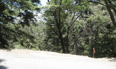 0 Forest Lane, Twin Peaks, California 92391, ,Land,Buy,0 Forest Lane,PW24059771