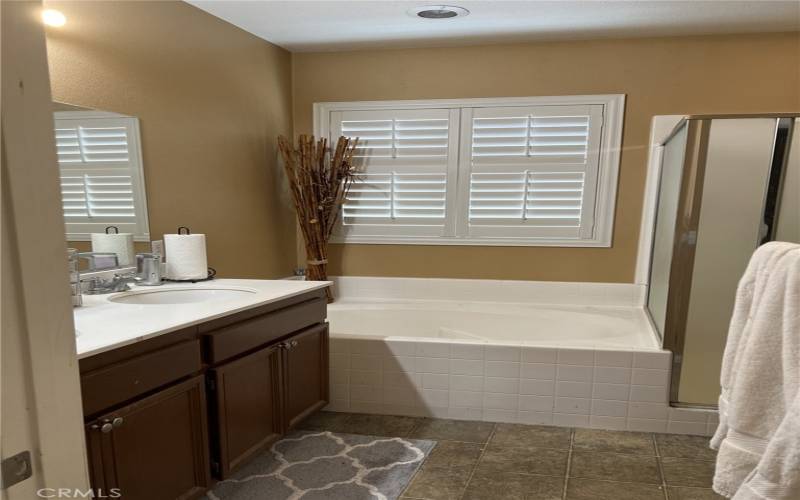 Master Bathroom Tub