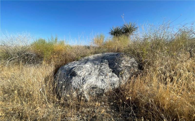 Gorgeous rocks and desert flora on this parcel.