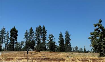 6154 Lucky John Road, Paradise, California 95969, ,Land,Buy,6154 Lucky John Road,SN24129430