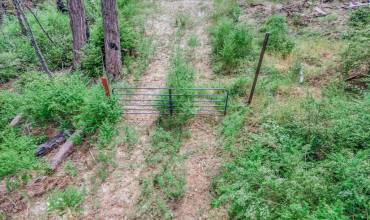 Branson Ranch Road, Boulder Creek, California 95006, ,Land,Buy, Branson Ranch Road,ML81970999