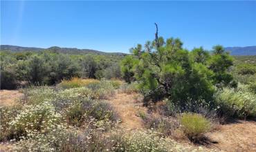 0 Terwilliger, Anza, California 92539, ,Land,Buy,0 Terwilliger,SW24129119