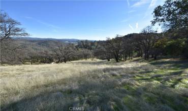 1193 Oregon Gulch Road, Oroville, California 95965, ,Land,Buy,1193 Oregon Gulch Road,OR24009896