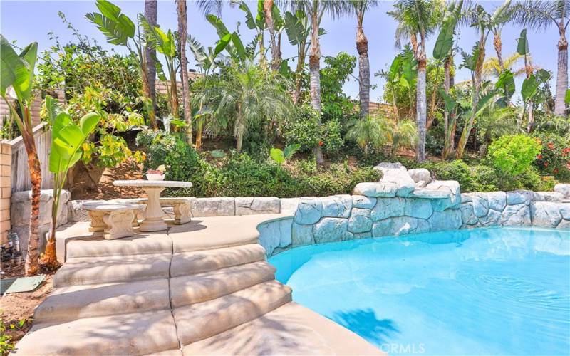 Mature landscaping with towering palm trees!