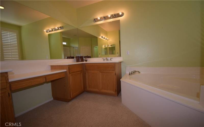 Master bath - soaking tub