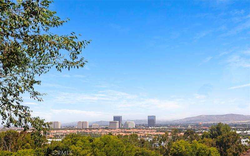 Gaze upon the beautiful city of Irvine, with its unique character and twinkling city lights, framed against the backdrop of majestic mountains.