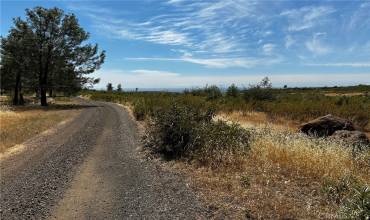 0 Zinfandel Drive, Chico, California 95928, ,Land,Buy,0 Zinfandel Drive,SN24127107