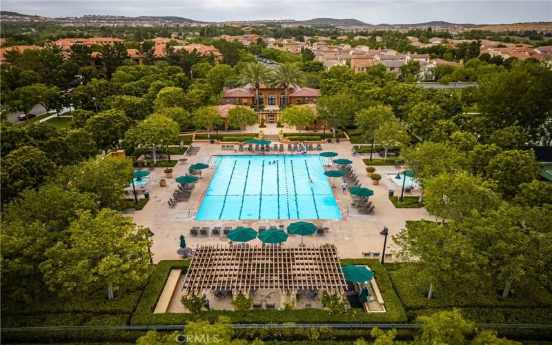 Jr. Olympic Pool, Spa, Wading Pool, Barbecues and more