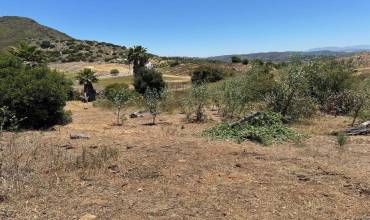 21750 Foli Ranch Circle, Temecula, California 92590, ,Land,Buy,21750 Foli Ranch Circle,PTP2400161