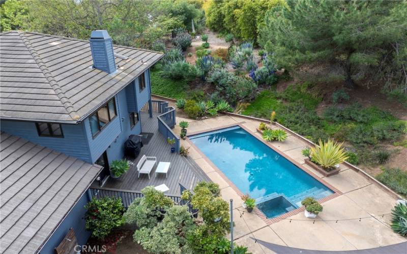 Pool and spa area