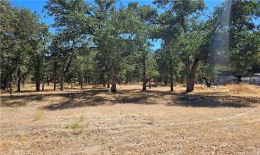 16245 14th Avenue, Clearlake, California 95422, ,Land,Buy,16245 14th Avenue,LC24132032