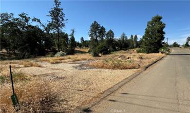 13679 Andover Drive, Magalia, California 95954, ,Land,Buy,13679 Andover Drive,SN24129666