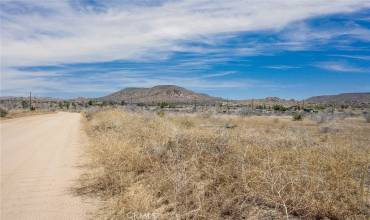 3200 Bush Avenue, Pioneertown, California 92268, ,Land,Buy,3200 Bush Avenue,JT24126013