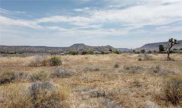 3100 Bush Avenue, Pioneertown, California 92268, ,Land,Buy,3100 Bush Avenue,JT24126004