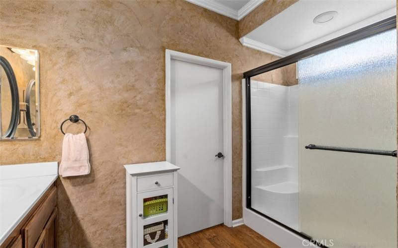 Step in shower and walk-in closet