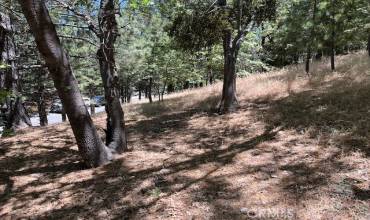 0 Pixie Drive, Running Springs, California 92382, ,Land,Buy,0 Pixie Drive,EV24132815