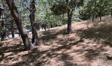 0 Pixie Drive, Running Springs, California 92382, ,Land,Buy,0 Pixie Drive,EV24132805