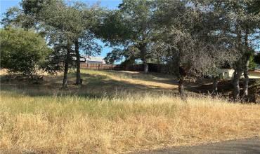 5031 Smith Road, Mariposa, California 95338, ,Land,Buy,5031 Smith Road,MP24131925