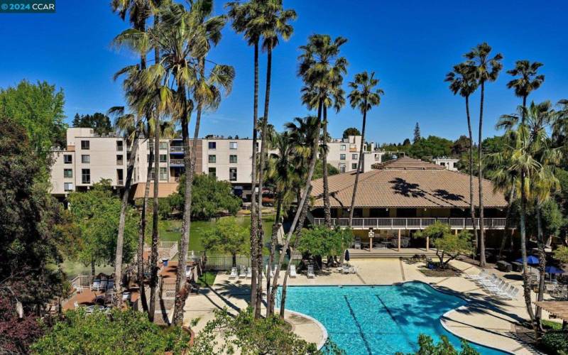 Main pool and clubhouse