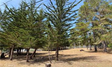 0 Warren Road, Cambria, California 93428, ,Land,Buy,0 Warren Road,SC24132702