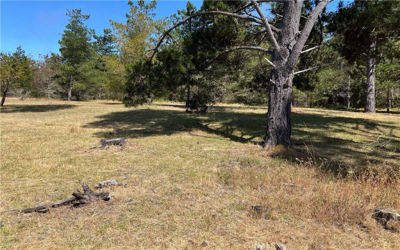 View of the Fiscalini Ranch North of the lot