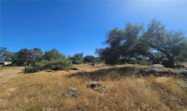 5 AC Ashworth Road, Mariposa, California 95338, ,Land,Buy,5 AC Ashworth Road,FR24132957