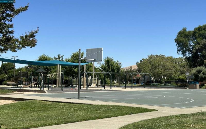 Playground and Basketball court