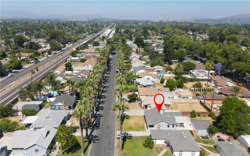 Palm tree-lined street