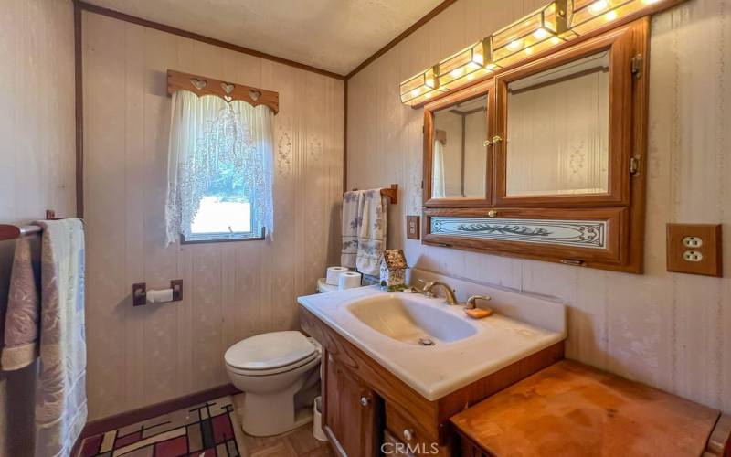 Main floor bathroom